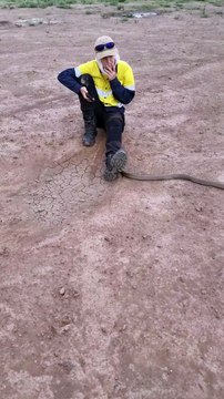 Quand tu laisses le serpent le plus venimeux du monde te passer entre les jambes