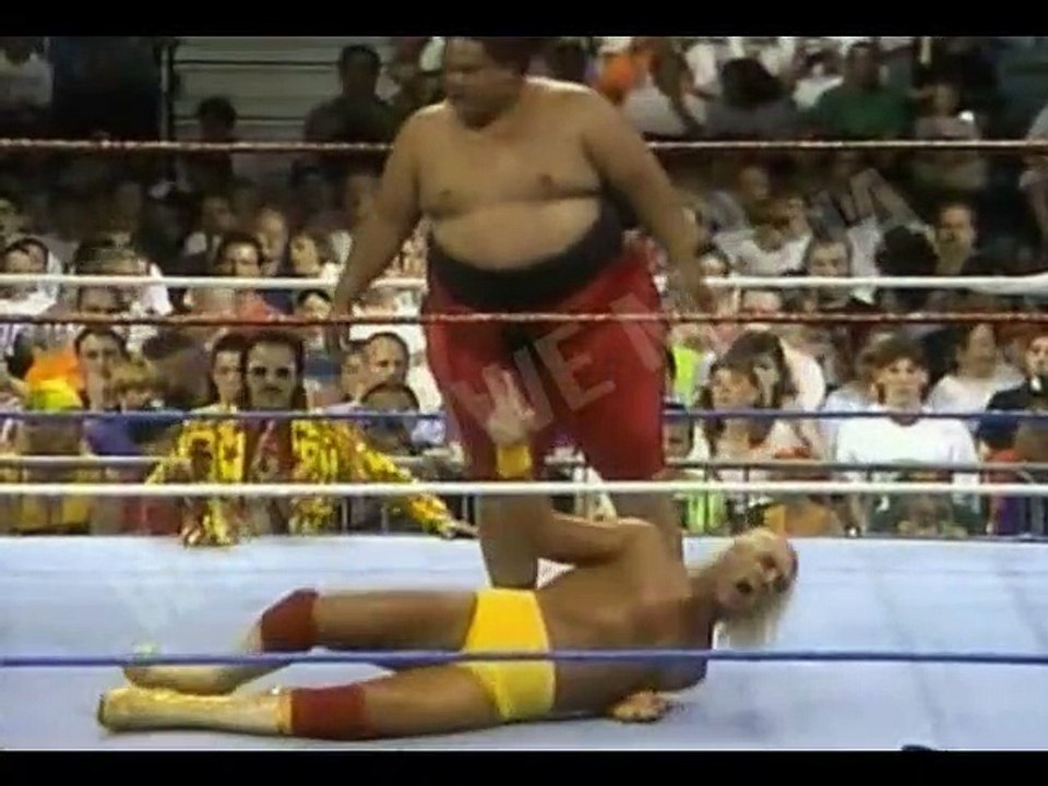Hulk Hogan vs Yokozuna - King of the ring 1993