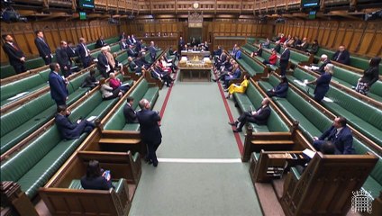 Liz Saville Roberts raises visa delay issue in House of Commons