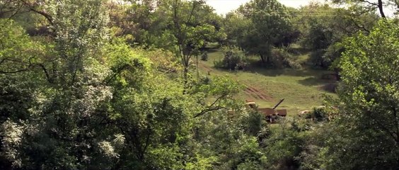 Aux yeux des vivants | movie | 2014 | Official Trailer