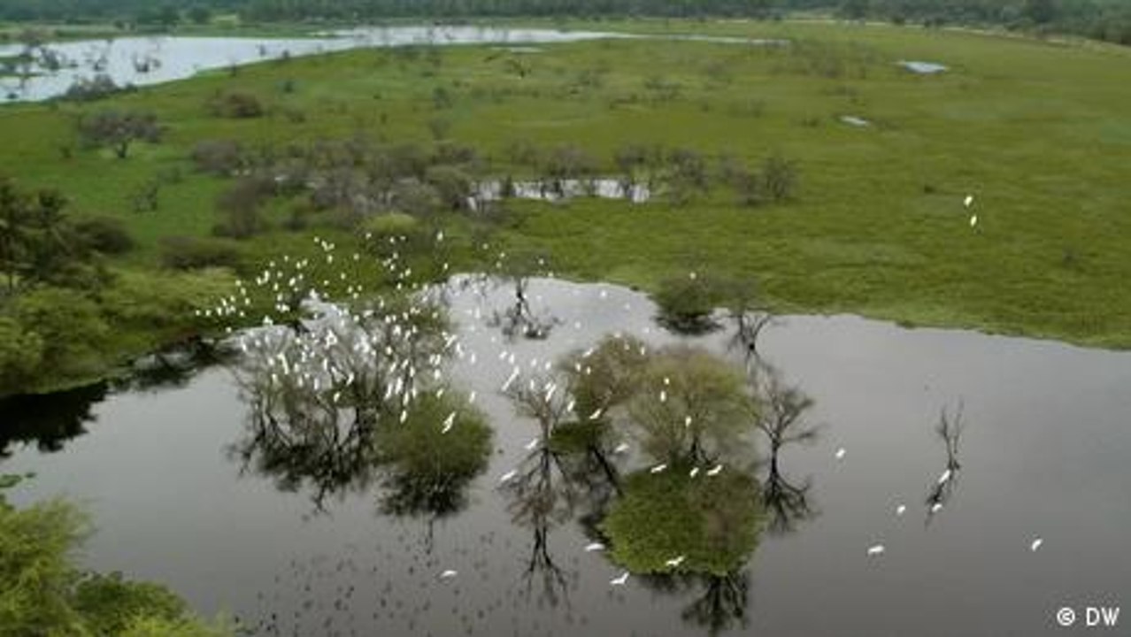 Wie eine indische Stadt ihre Wasserquellen rettet
