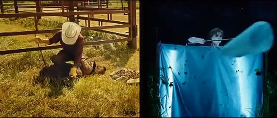 L’Extravagant Voyage du jeune et prodigieux T. S. Spivet | movie | 2013 | Official Trailer