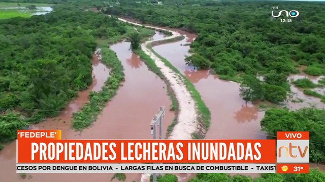 Anuncian que propiedades lecheras están inundadas por las intensas lluvias de los últimos días