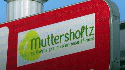 energy prices skyrocket across Europe and the world