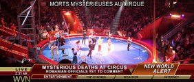 La Nuit des clowns tueurs | movie | 2017 | Official Trailer