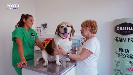 Veterinários Todo o Terreno, Episódio 14