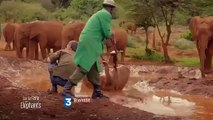 Muriel Robin & Chanee sur la Terre des Éléphants | movie | 2017 | Official Trailer