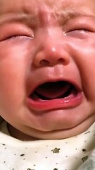 Cutest & Funny Baby  Video | Try not to laugh  | Funny Baby Video | Cute Baby