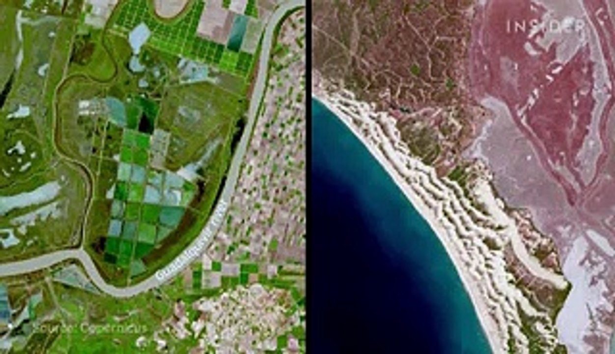 How 3 million gallons of olive oil are produced per year in Spain during crippling droughts