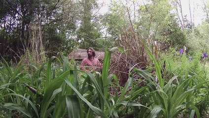 Erik Drinks Wine and Gets a Haircut | movie | 2017 | Official Trailer