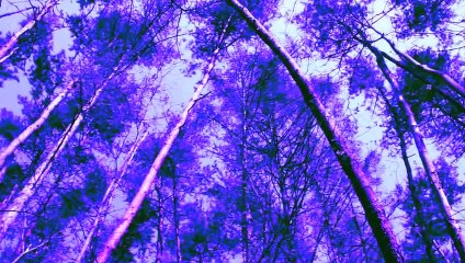 Kiss Me Kiss Me Kiss Me | movie | 2015 | Official Trailer