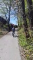 Cycling by bike to the cave and volcano Trakošćan, Croatia, excursion - Excursions / Tours / Activities, Varazdin (Bednja)