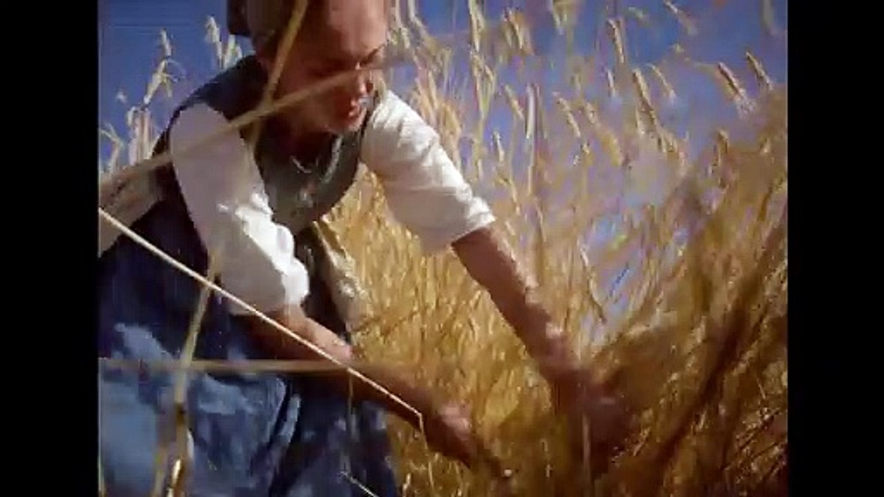 Das Mädchen, das lesen konnte | movie | 2017 | Official Trailer