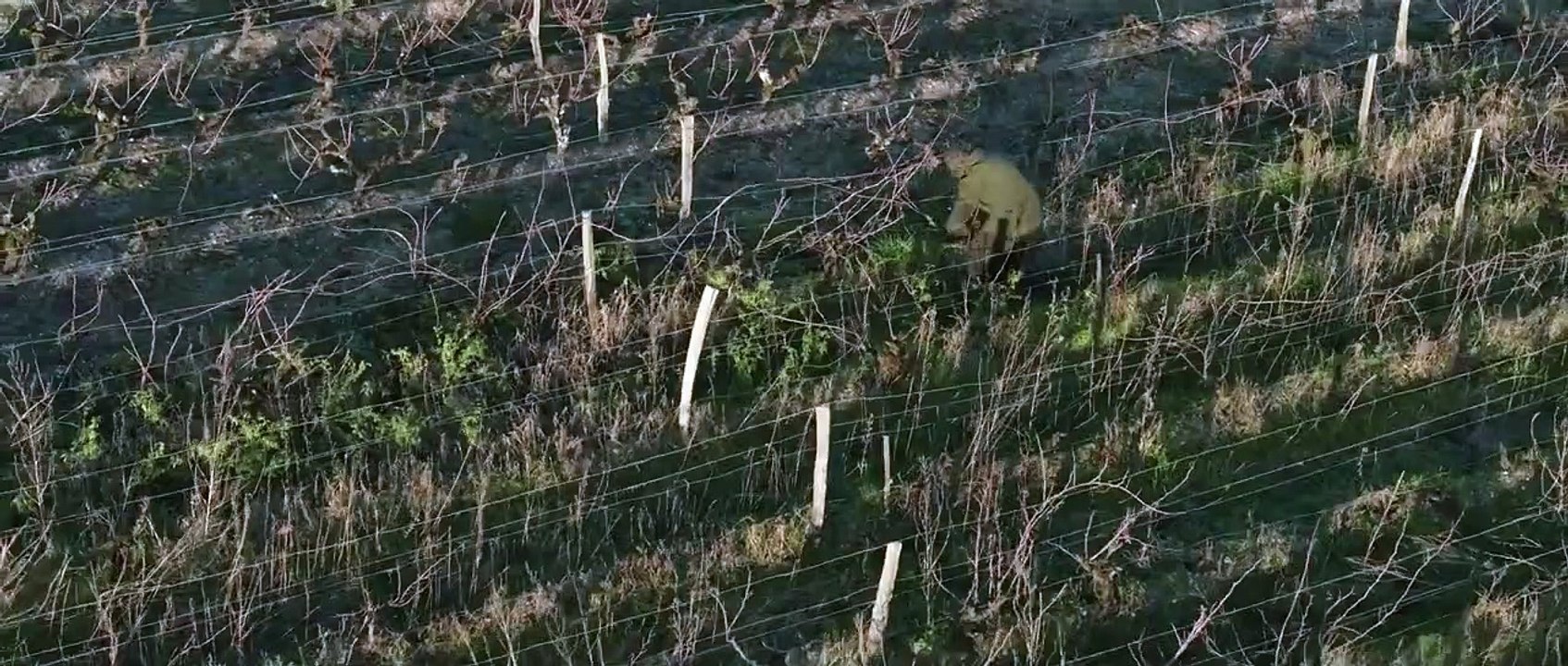 Les maisons de la misère | movie | 1936 | Official Teaser