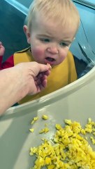 Son Doesn't Enjoy Moms Eggs