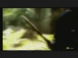 LE MYSTERE DU DISQUE CELESTE  DE NEBRA 1/3