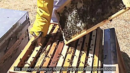 Arribes: Everything else is noise | movie | 2012 | Official Trailer