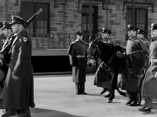 Francis Goes to West Point | movie | 1952 | Official Trailer