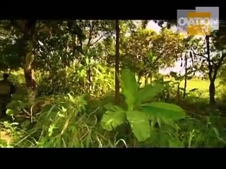 War Oratorio | movie | 2007 | Official Trailer