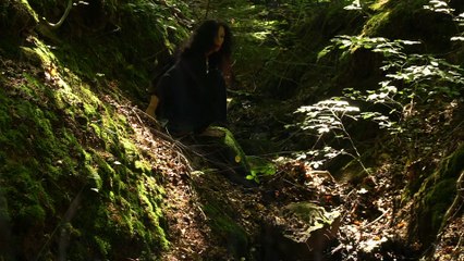 Enchanted Forest - Zauberwald