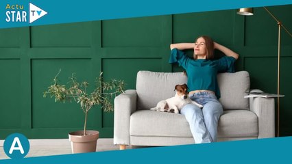 Soldes : craquez vite pour l'un de ces canapés, ils vous feront économiser entre 160 et 250€ !