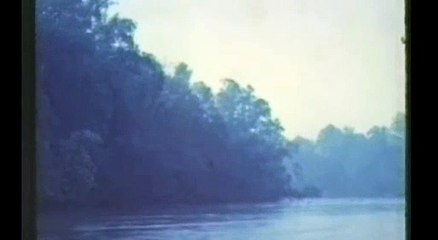 The Legend of McCullough's Mountain | movie | 1975 | Official Trailer