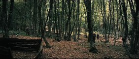 Forest Creatures | movie | 2010 | Official Trailer