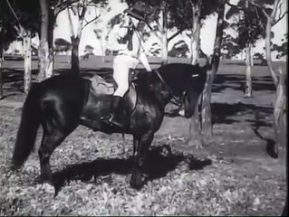 History of Australian Cinema | movie | 2004 | Official Trailer