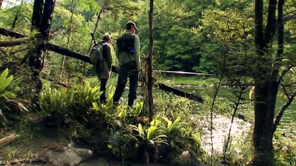 The Fish & The Fly 1: Dry Flies | movie | 2010 | Official Trailer