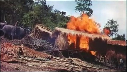 Kill for the Truth | movie | 1977 | Official Trailer