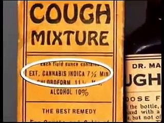 What If Cannabis Cured Cancer | movie | 2010 | Official Trailer