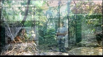 Blissfully Yours | movie | 2002 | Official Trailer