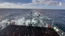 Navio da Marinha apanha embarcação de alta velocidade à deriva