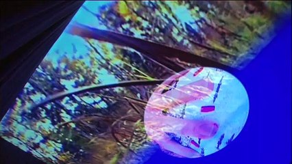 The Colour of Your Socks: A Year with Pipilotti Rist | movie | 2009 | Official Trailer