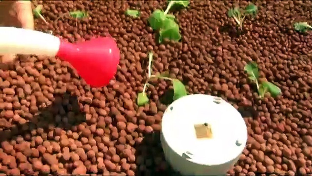 Aquaponics: The First 12 Months | movie | 2011...