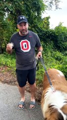 How to Find Your Way Back Traveling with a Saint Bernard