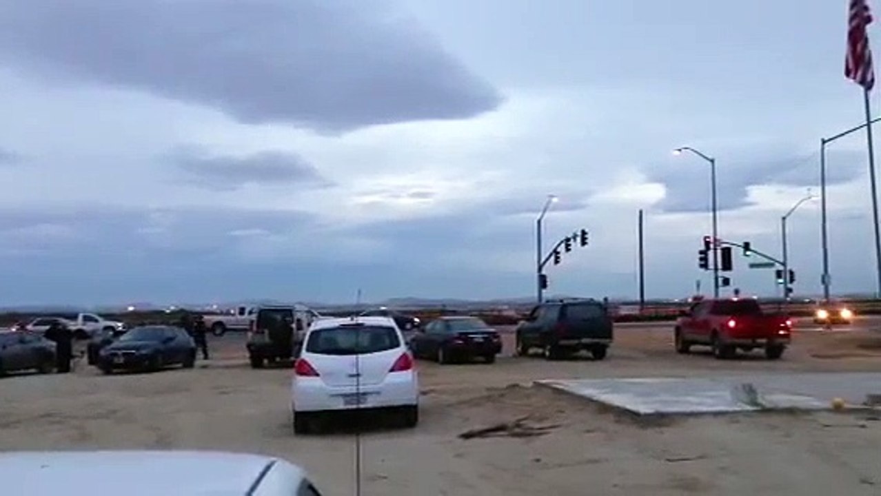 National Geographic Top Secret Plant 42 | movie | 2013 | Official Trailer