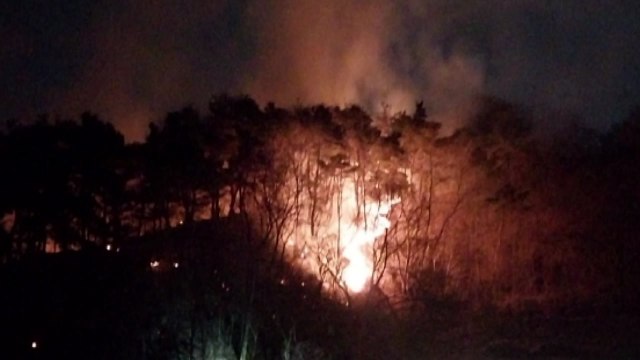 경남 합천 야산 불...2시간여 만에 진화 / YTN