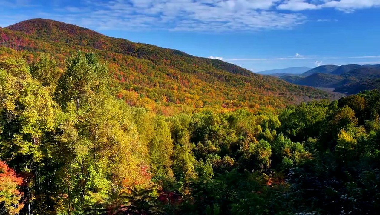 Smoky Mountain Explorer - Seasons of the Smokies | movie | 2014 | Official Trailer