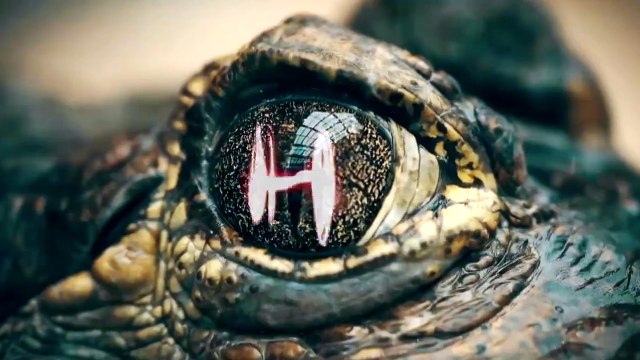 Звезды в Африке | show | 2021 | Official Trailer