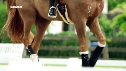 Totilas - Das Millionen-Geschäft mit dem Jahrhundertpferd | show | 2021 | Official Trailer