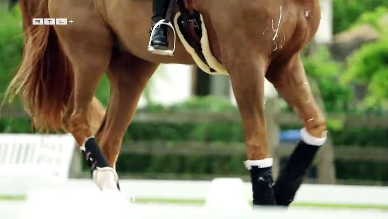 Totilas - Das Millionen-Geschäft mit dem Jahrhundertpferd | show | 2021 | Official Trailer