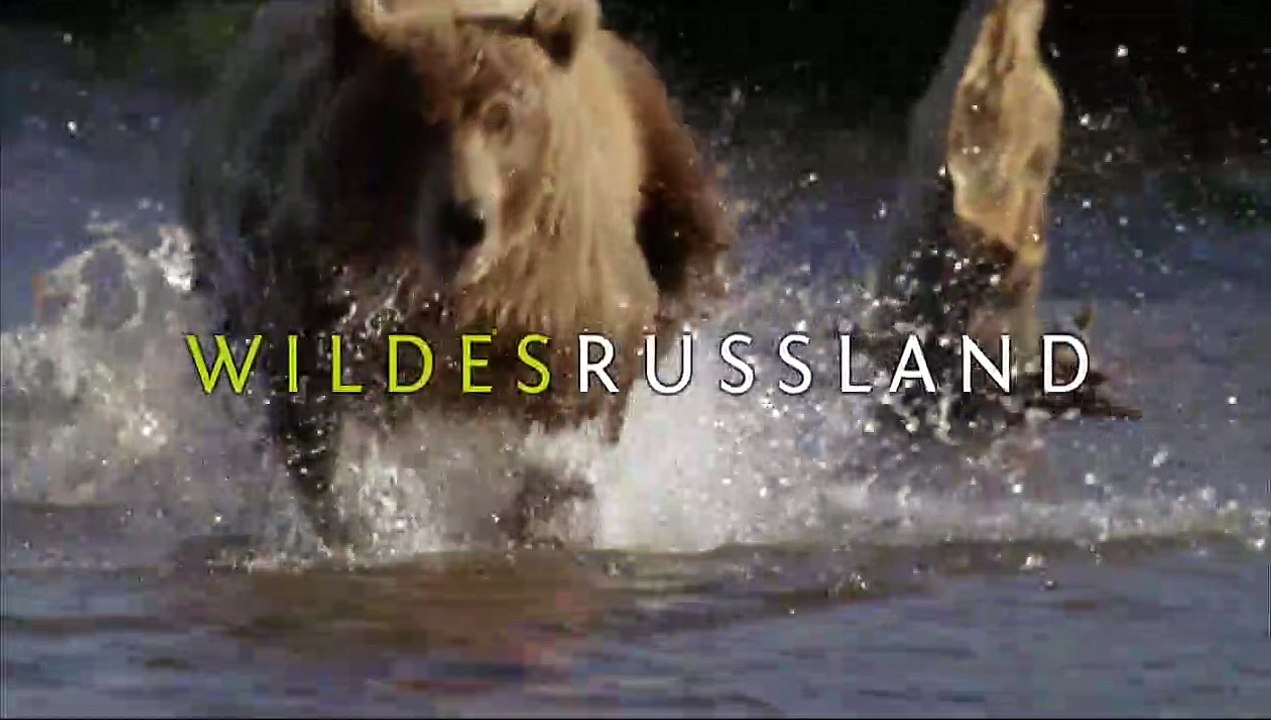Wildes Russland | show | 2008 | Official Trailer