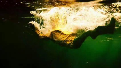 Born to Kill | show | 2017 | Official Trailer