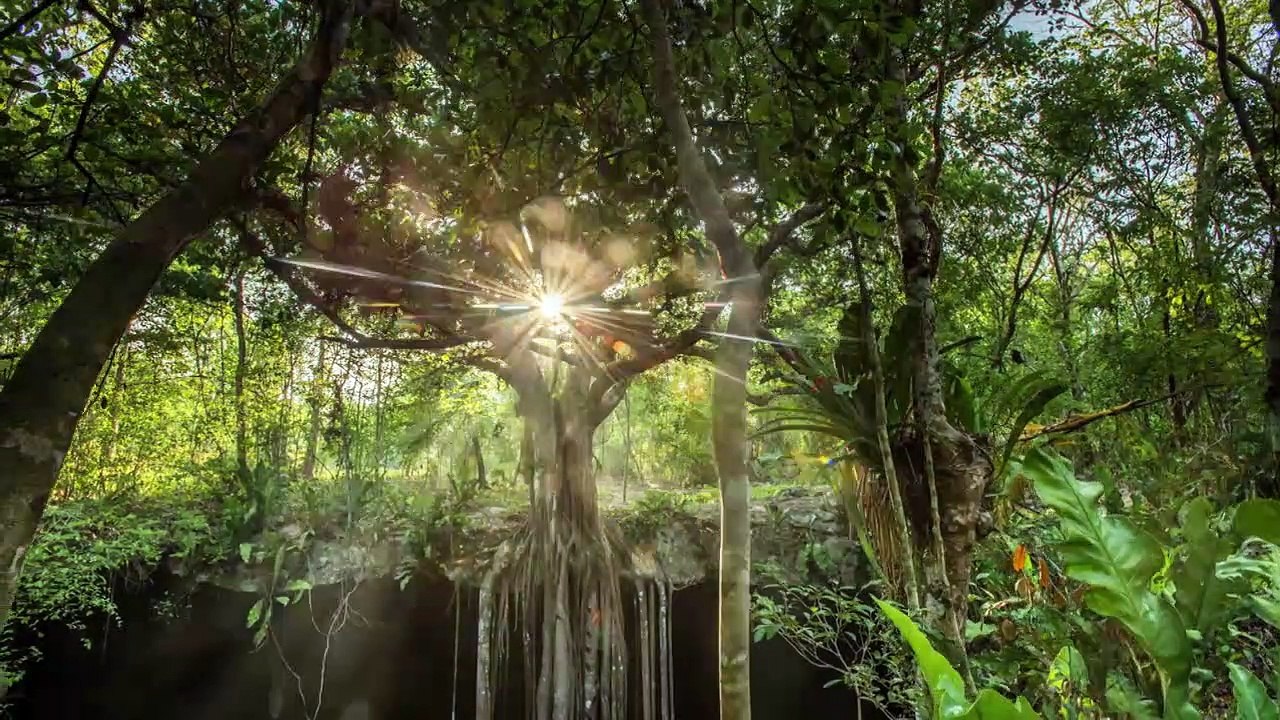 Mexico: Earth's Festival of Life | show | 2017 | Official Trailer