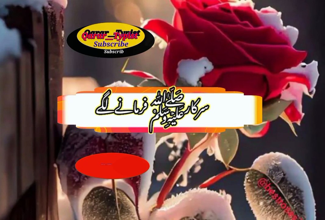 Uski dalee mangi khai | اس کی دلیل مانگیی ھے | qarar__typist