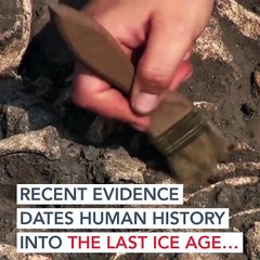 Missing Links | show | 2017 | Official Teaser