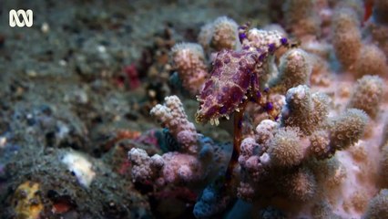 Decoding Danger | show | 2021 | Official Teaser