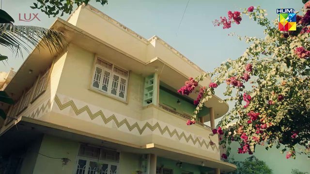 America Se Log Wapis Kiyun Atay Hein.. #mayaali #bilalashraf - Yunhi -