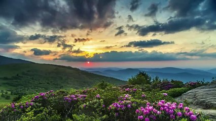 4K HD relaxing breeze, wind and distant Red Wolf howling - study, focus, meditate, nap, homework.